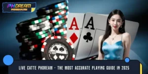 Live Catte PHDREAM – The Most Accurate Playing Guide In 2025