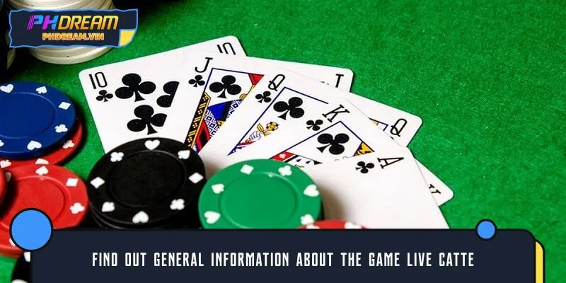 Find out general information about the game live Catte