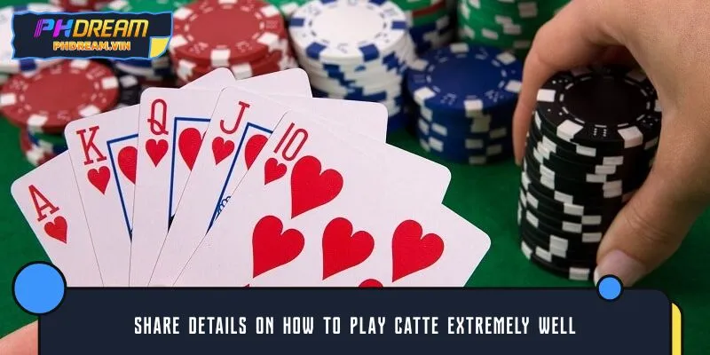 Share details on how to play Catte extremely well