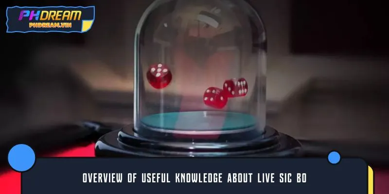 Overview of useful knowledge about live Sic Bo