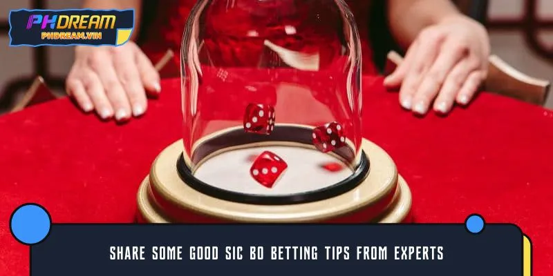Share some good Sic Bo betting tips from experts