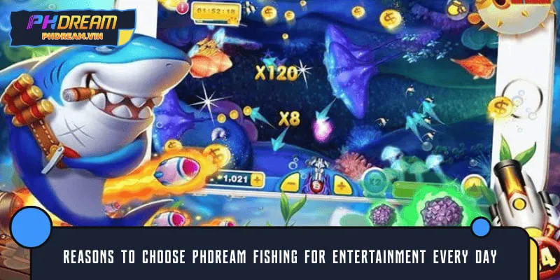 Reasons to choose PHDREAM Fishing for entertainment every day